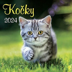 Kalendář 2024 Kočky, nástěnný