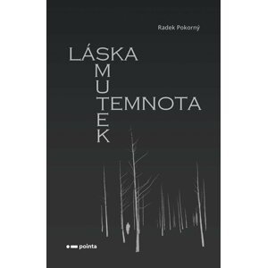 Láska, smutek, temnota - Radek Pokorný