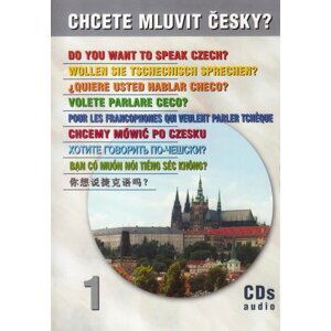 Chcete mluvit česky? - 1. díl (4 CD) - kolektiv autorů