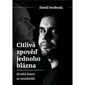 Citlivá zpověď jednoho blázna - Druhá šance se neodmítá - David Svoboda