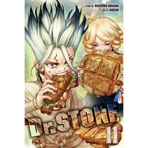 Dr. Stone 11 - Riichiro Inagaki