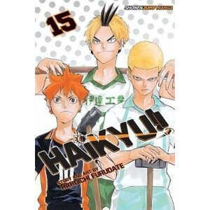 Haikyu!! 15 - Haruichi Furudate