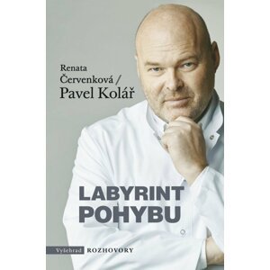 Labyrint pohybu - Pavel Kolář