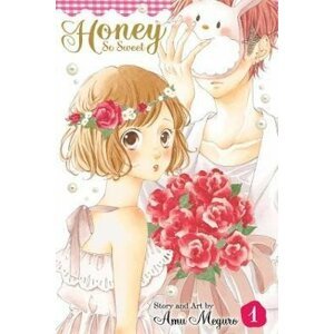 Honey So Sweet, Vol. 1 - Amu Meguro