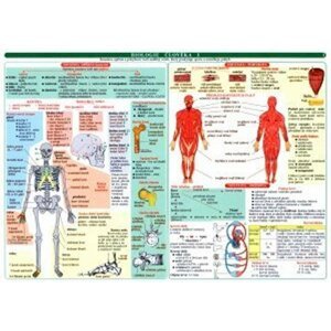 Tabulka - biologie člověka, 1.  vydání