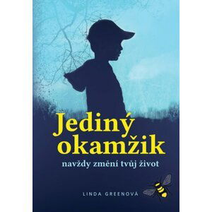 Jediný okamžik - Linda Green