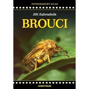 Brouci - Fotografický atlas - Jiří Zahradník