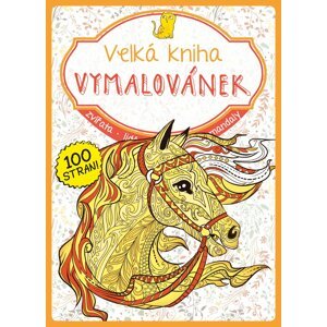 Velká kniha vymalovánek - oranžová - autorů