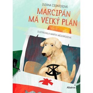 Marcipán má veľký plán - Zuzana Csontosová