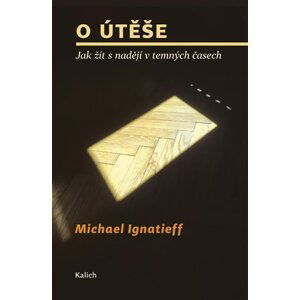 O útěše - Jak žít s nadějí v temných časech - Michael Ignatieff