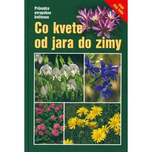 Co kvete od jara do zimy - Eva MAria Dreyer