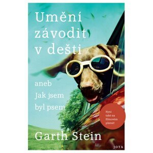 Umění závodit v dešti aneb jak jsem byl psem - Garth Stein