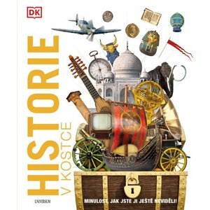 Historie v kostce - kolektiv autorů