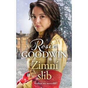 Zimní slib - Rosie Goodwin