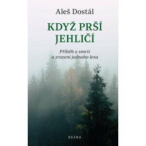 Když prší jehličí - Aleš Dostál