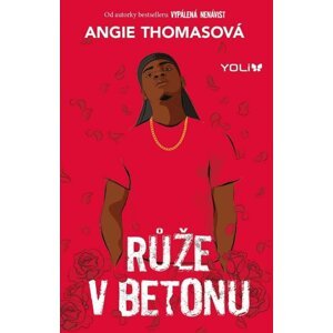 Růže v betonu - Angie Thomasová