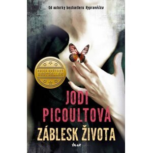 Záblesk života - Jodi Picoult