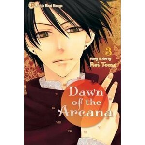 Dawn of the Arcana 3 - Rei Toma