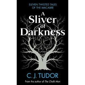 A Sliver of Darkness - C. J. Tudor