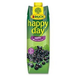 Rauch Happy Day - Černý rybíz 25%, 1 l