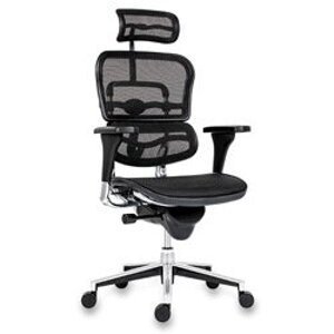 Antares Ergohuman - pracovní ergonomická židle